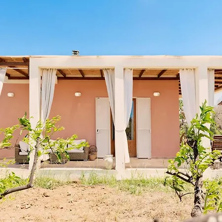 Nanni * 갈리폴리